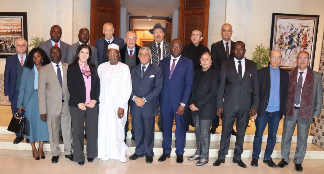 صورة النشاط رئيس المجلس الدستوري التشادي في زيارة المحكمة الدستورية